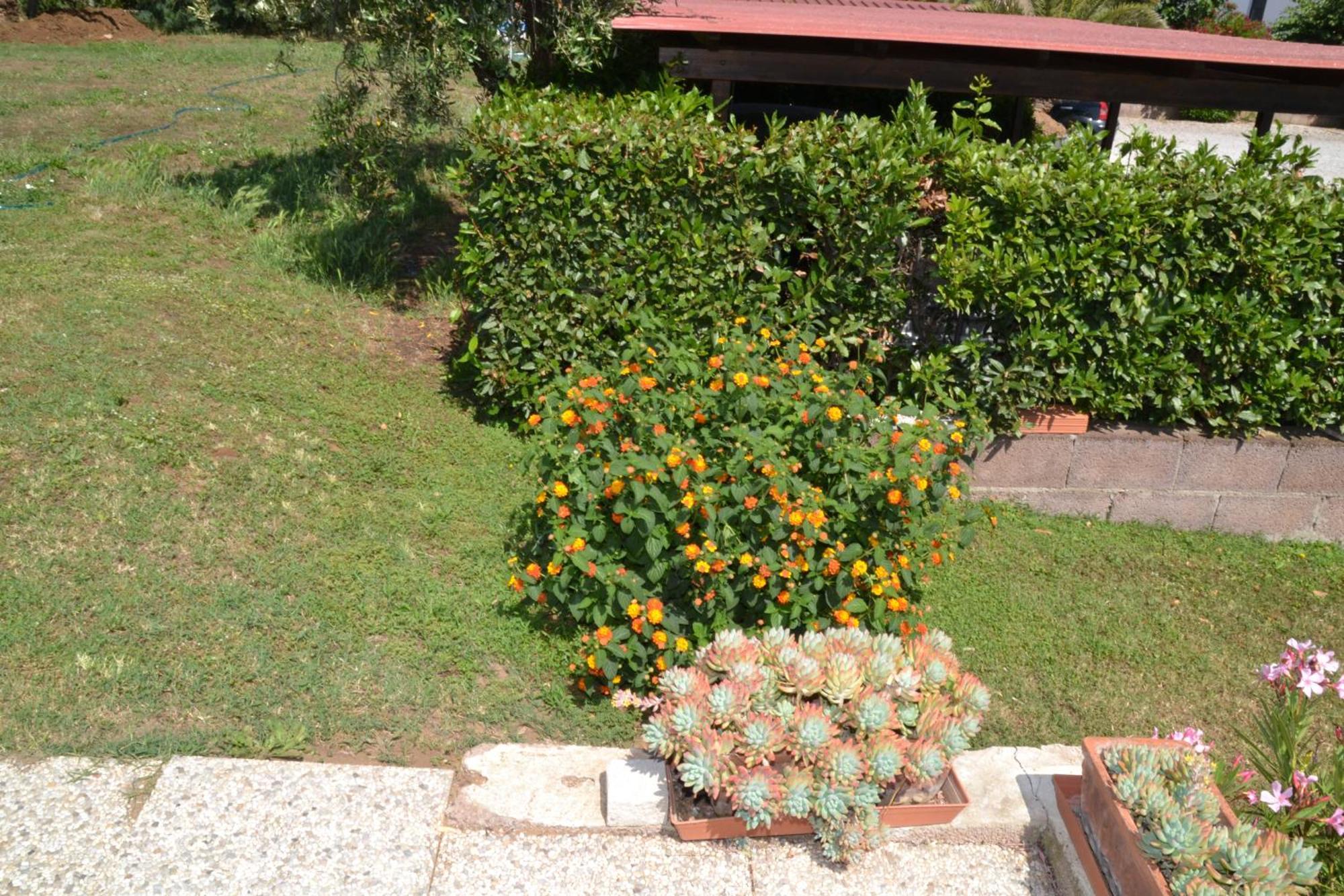 Hotel La Mimosa Bolgheri Exterior foto