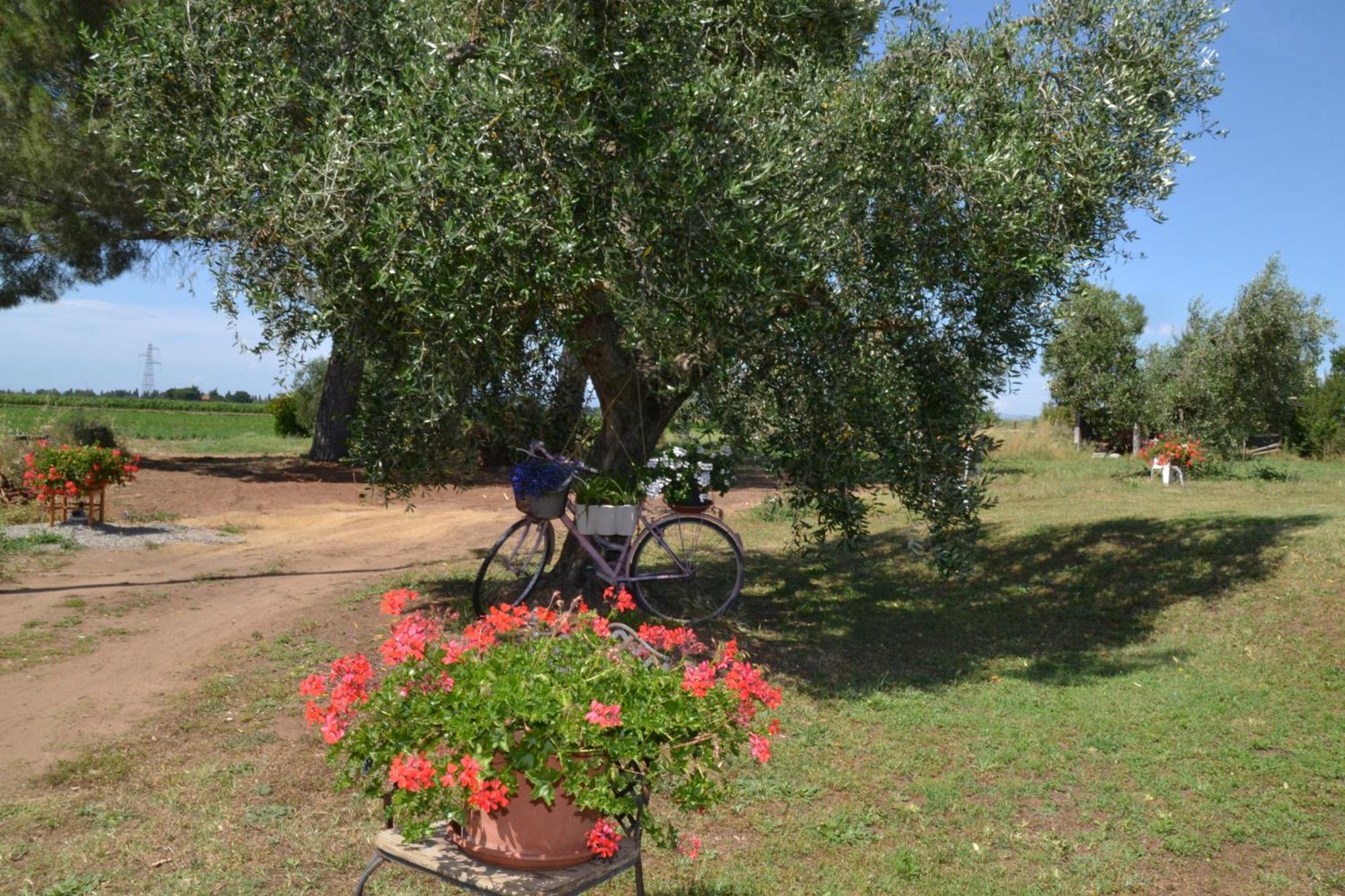 Hotel La Mimosa Bolgheri Exterior foto