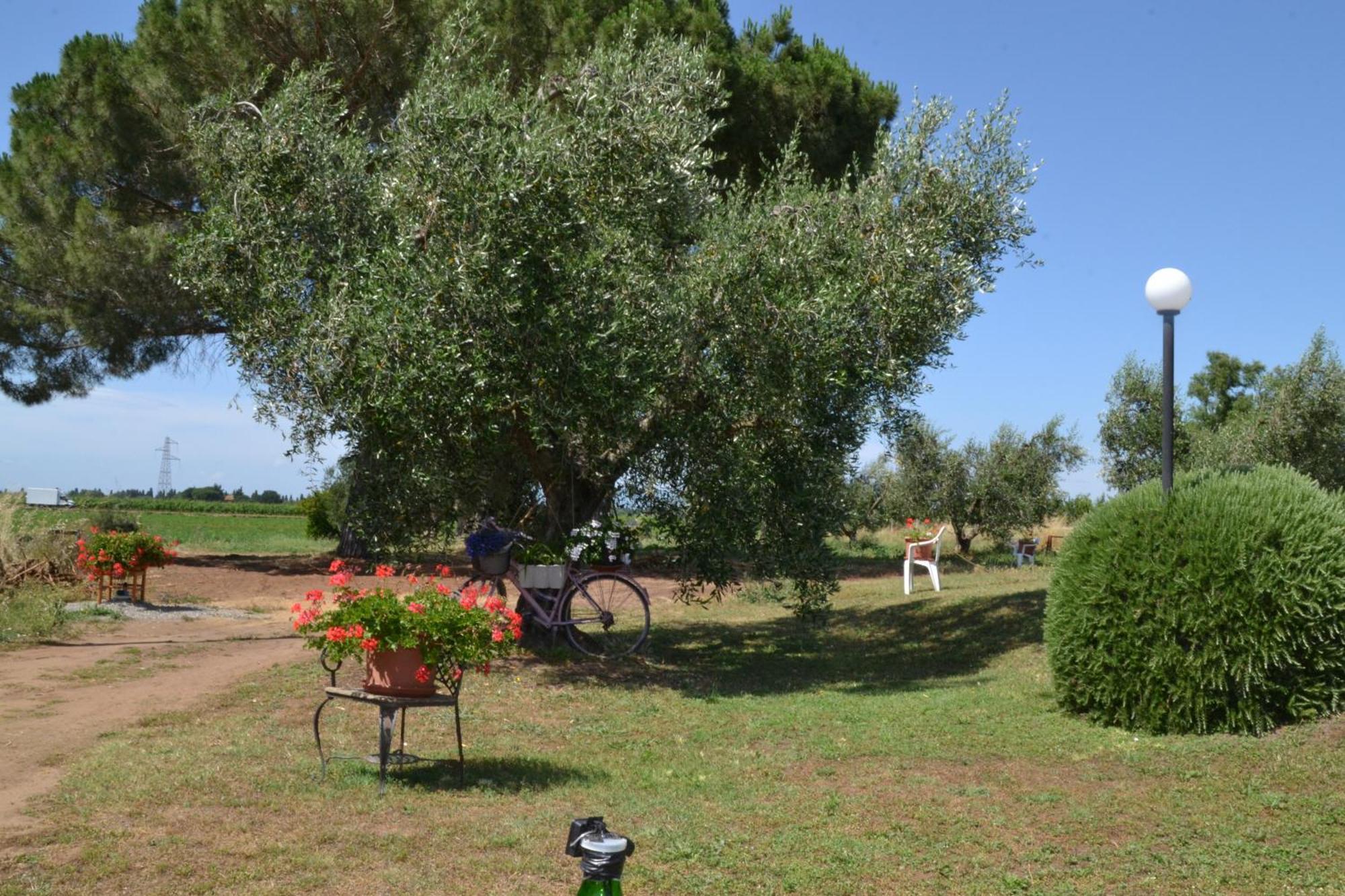 Hotel La Mimosa Bolgheri Exterior foto