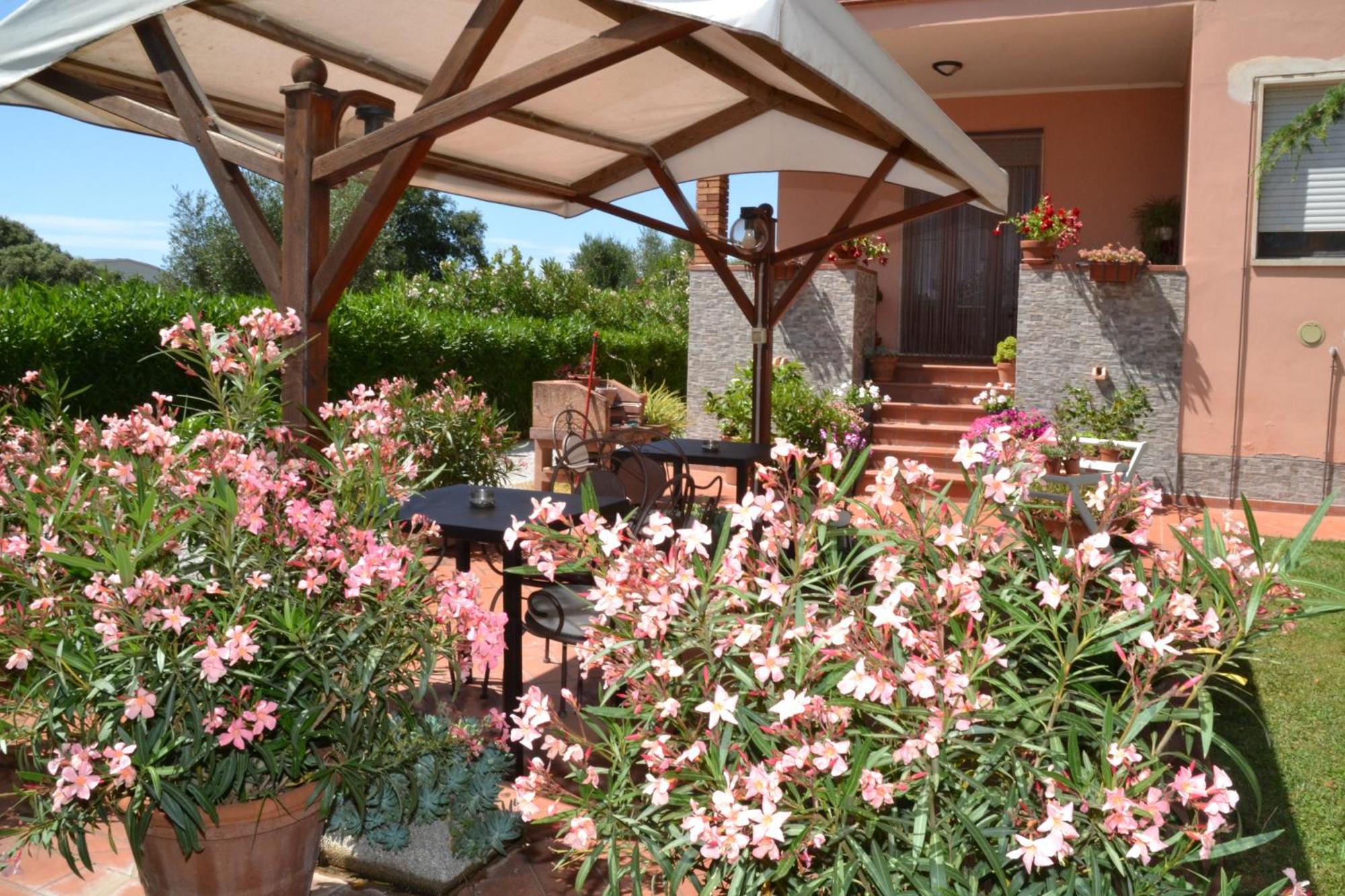 Hotel La Mimosa Bolgheri Exterior foto